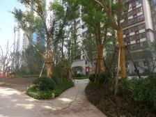 西站十字 电梯房 产权证清晰 看房子方便