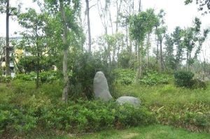 东林半岛3室1厅东南