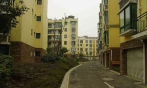 东林半岛3室2厅南北