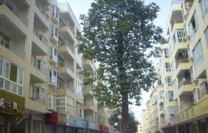 宏得紫竹苑2室1厅东南