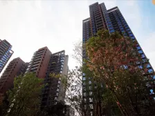 鲁能精装大四房,蝴蝶户型,视野采光好