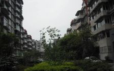 东光南二巷2号2室1厅东北北北