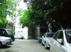 绿园小区 3室1厅 东南