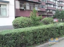 航天乙一区 2室2厅 南