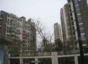 楼房位置好,楼层好,视野好采光佳,精装修