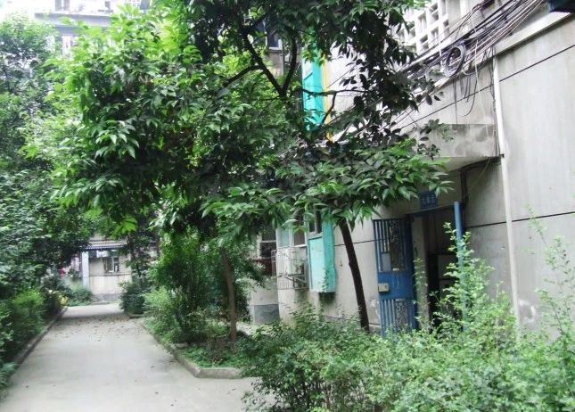 小区相关图