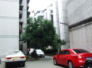 东怡园2室1厅东南