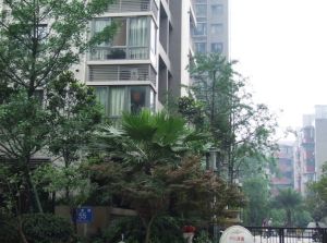 交大绿岭一期2室1厅西南
