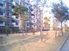 南北通,无装修,楼层位置好,诚意出售