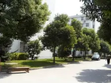 楼层好,南北格局棒,采光佳,小区环境好