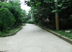 新莲新苑2室2厅东南