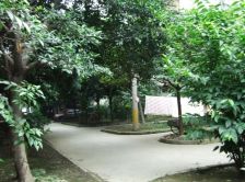 新莲新苑 2室1厅 南