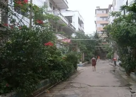 市政协宿舍实景图