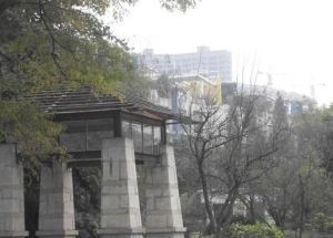 森宇音乐花园3室2厅东北