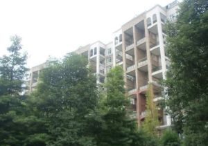 森宇音乐花园4室1厅东南南西南