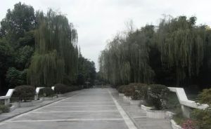 森宇音乐花园5室2厅南