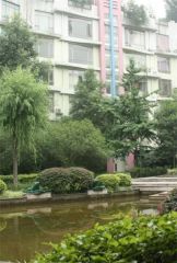 森宇音乐花园3室1厅西南
