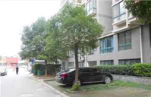 建邺区应天大街苏建豪庭3室2厅