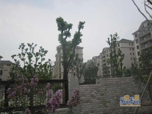 泰宝华庭实景图