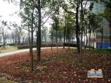 电梯房,大开间,品质小区,厨卫朝北