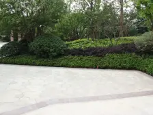 复地御西郊5室南朝向3600.00万元/套出售