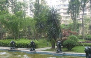 大城际3室1厅东南