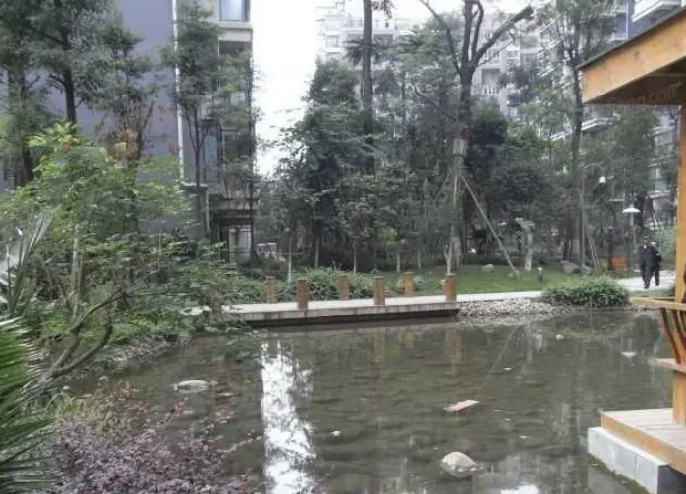 小区相关图