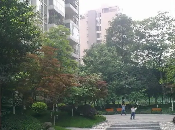小区相关图