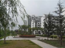 浅水湾电梯中层3室2厅2卫含车位