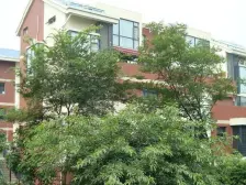 依云 4室2厅 东北