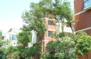 依云 2室1厅 西南