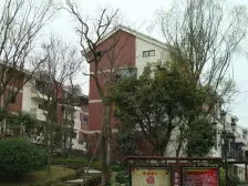 依云 2室1厅 西南