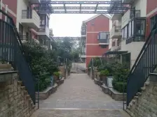 依云 3室1厅 东北