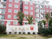 七星国际城7-3-1-4 298.00m2 372.8 万