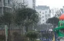 沪都家园实景图