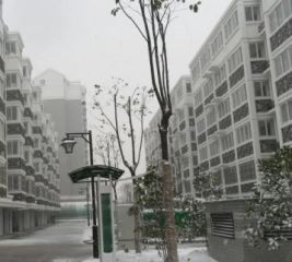 和颐都市绿洲2室1厅南