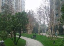 丽晶港3室1厅西南