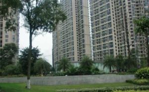 丽晶港3室1厅东南