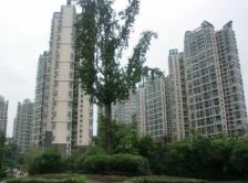 丽晶港 3室1厅 西 西北