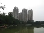 实景图