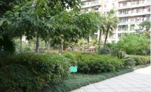 成都花园翠雍华庭 4室2厅 东南