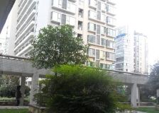 瑞泰锦城2室1厅西南