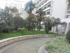 瑞泰锦城 2室1厅 西南