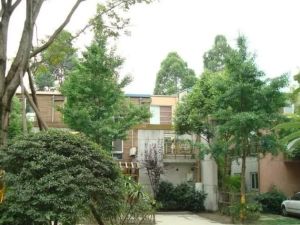 锦绣森邻4室1厅南北