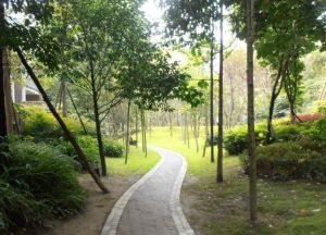锦绣森邻3室2厅南