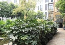 锦绣森邻 3室2厅 东南 西北