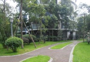 锦绣森邻 4室2厅 南 西南