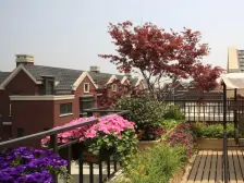 上叠边套户型,带产权车位,毛坯房,喜欢的装修风格