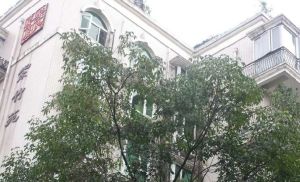 紫竹苑3室2厅东南