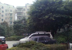 紫竹苑3室1厅南